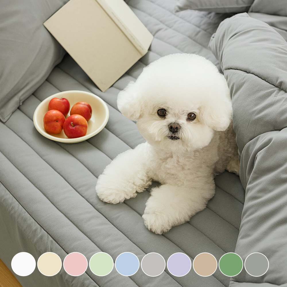 몽실몽실 먼지없는 항균옥수수솜 진드기방지 반려동물 사계절 차렵이불 SS