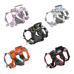 인터라켄 어스텍 슬림 3.0 하네스 아이리드줄 세트 XS 솔직 후기 | 실제 사용자 리뷰 총정리 - 상품 이미지 2