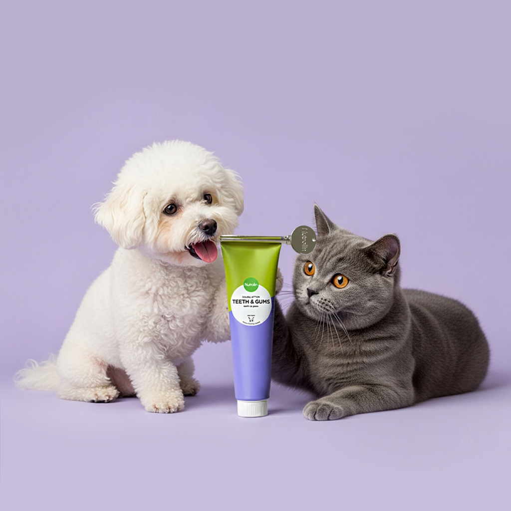 강아지 고양이 치석 제거 입냄새 영양제 핀란드 오메가3 뉴트롤린 티쓰 앤 검스 200g - 상세 이미지 4
