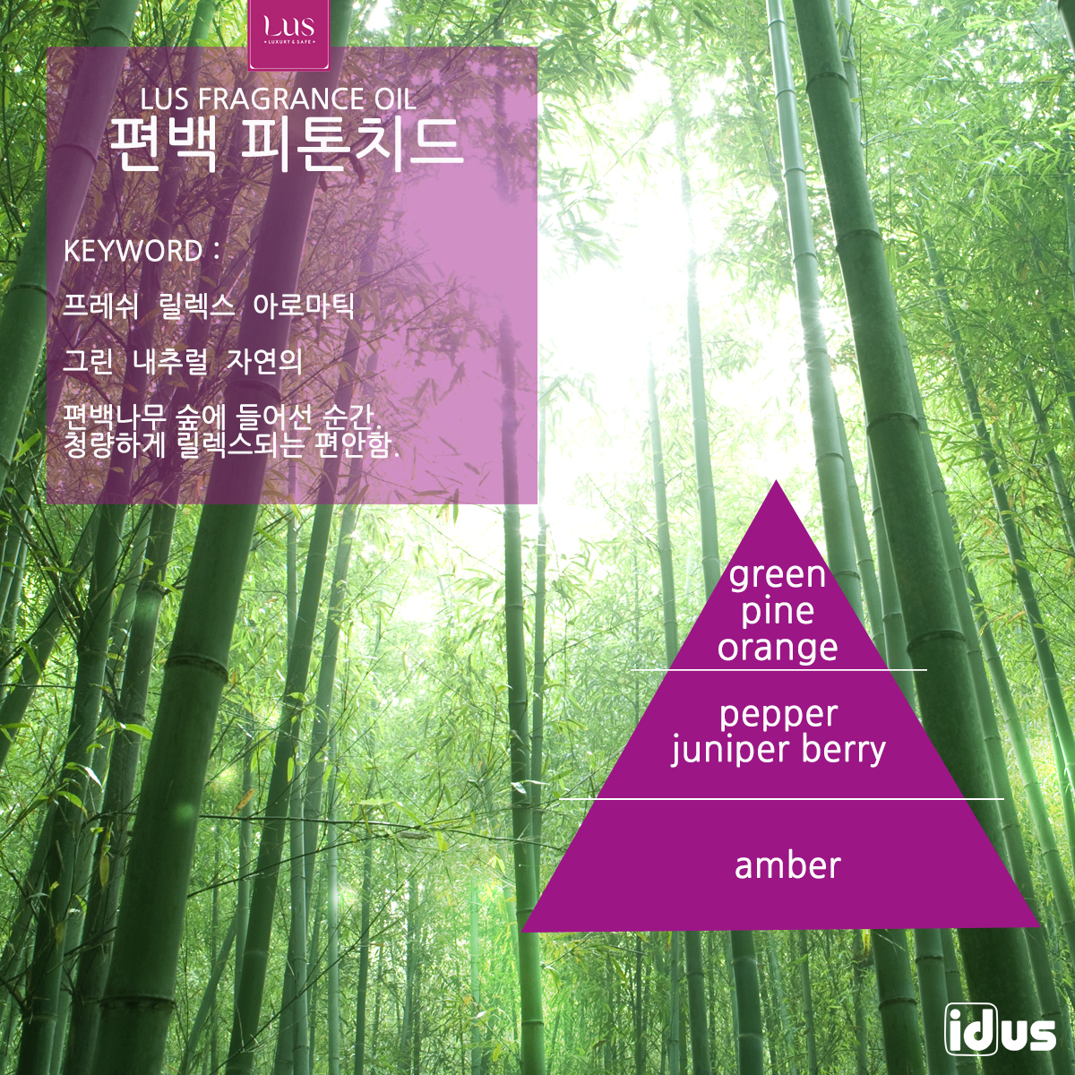 LUS 프래그런스오일 편백피톤치드, 100ml, 1개 - 상세 이미지 2
