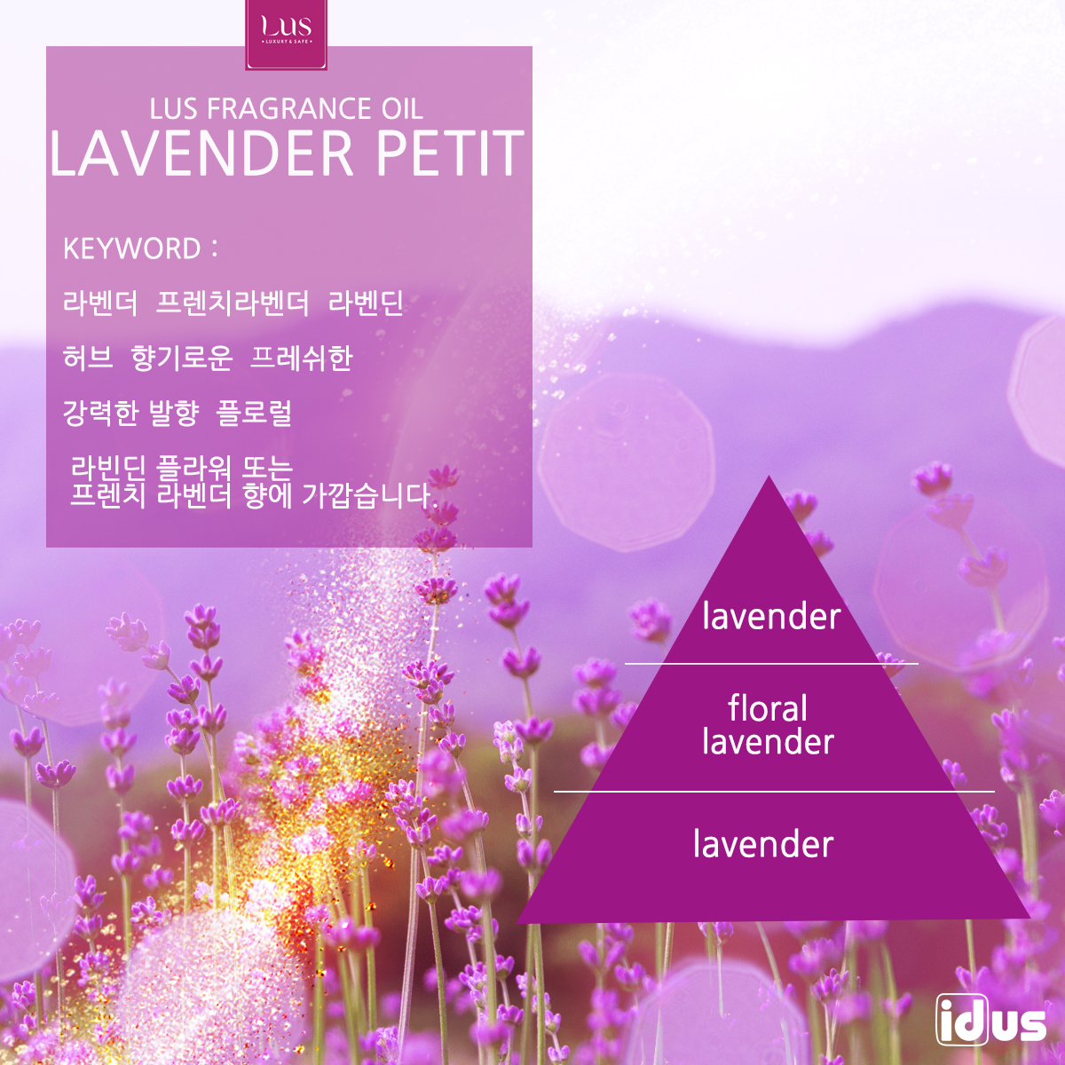 LUS 프래그런스오일 라벤더쁘띠, 100ml, 1개 이미지 2