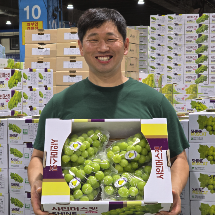 송산포도 샤인머스켓 망고포도 캠벨