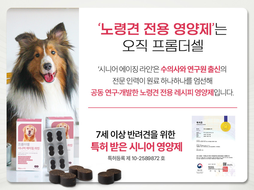 프롬더셀 강아지 노견전용 관절, 백내장, 피부, 항산화, 치매 종합영양제 3박스 판매처 상세 정보 이미지 2
