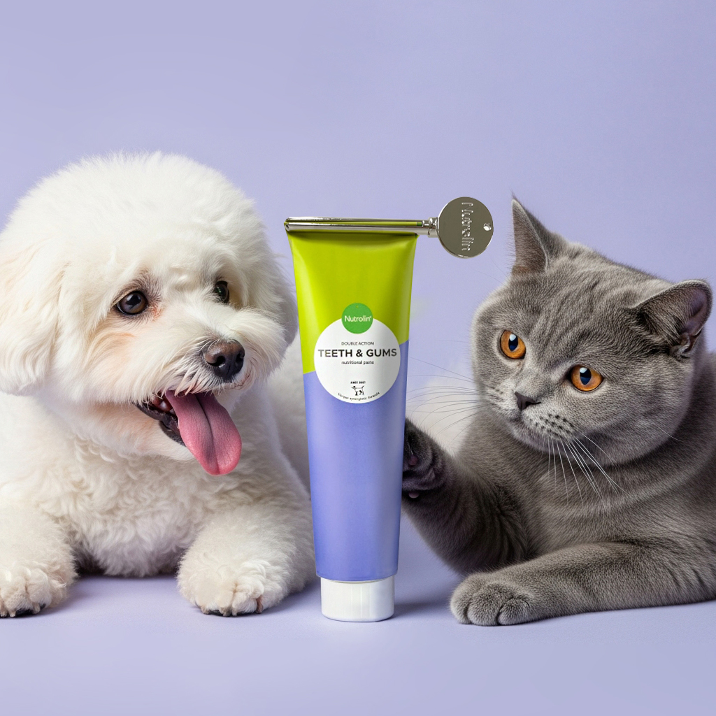 강아지 고양이 치석 제거 입냄새 영양제 핀란드 오메가3 뉴트롤린 티쓰 앤 검스 200g - 상세 이미지 2