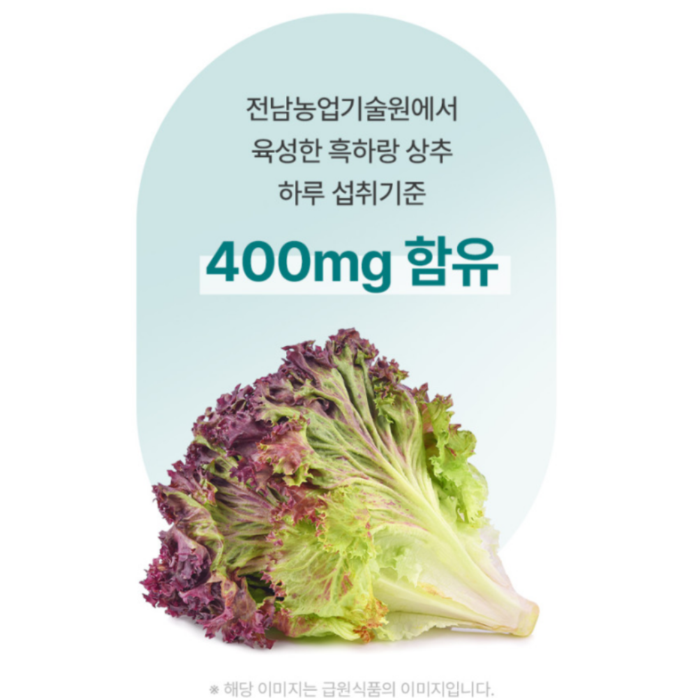 만다린망고 식물성 멜라토닌 2MG 60정 X 2개 락투신 흑하랑상추 타트체리 추출분말 - 상세 이미지 5