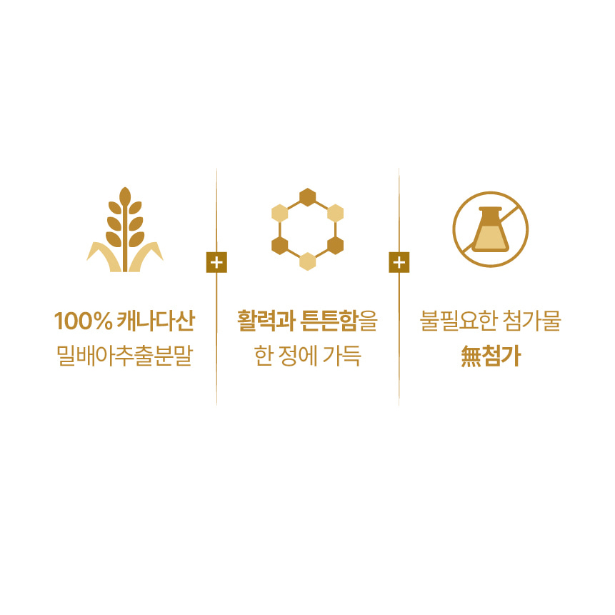 스페르미딘 밀배아추출물 스퍼미딘 30정 - 상세 이미지 3