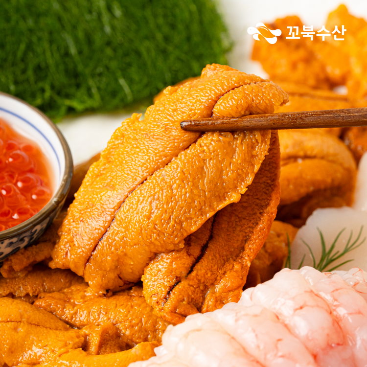 성게알 추천 신선한 보라성게 맛보고 느낀 후기