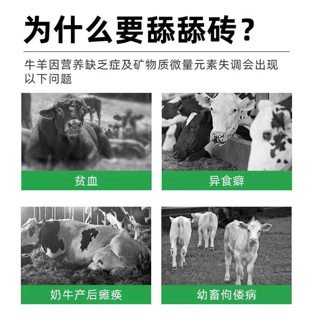 미네랄블럭 소금벽돌 핥는 양 칼슘 구충 축사 염소 (고칼슘) 1개 - 상세 이미지 2