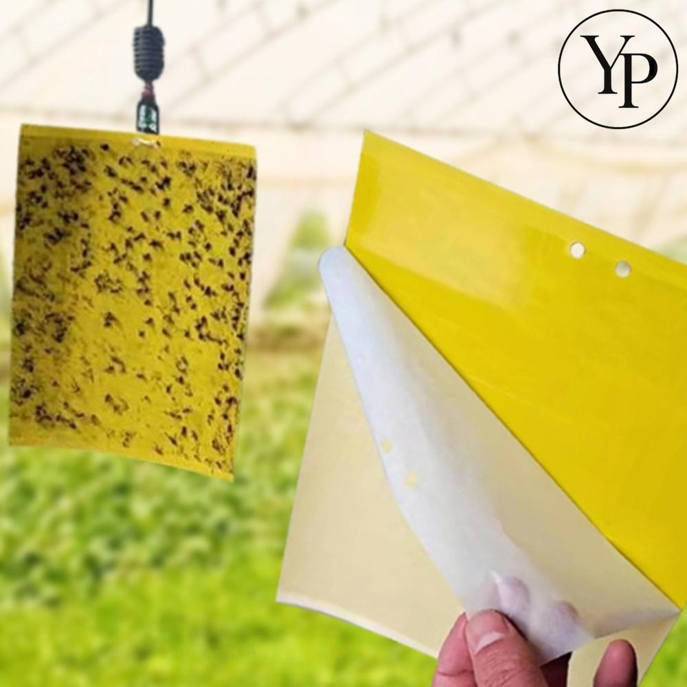 날벌레 파리 퇴치제 끈끈이 초파리 트랩 리필 해충퇴치 버그 스토퍼