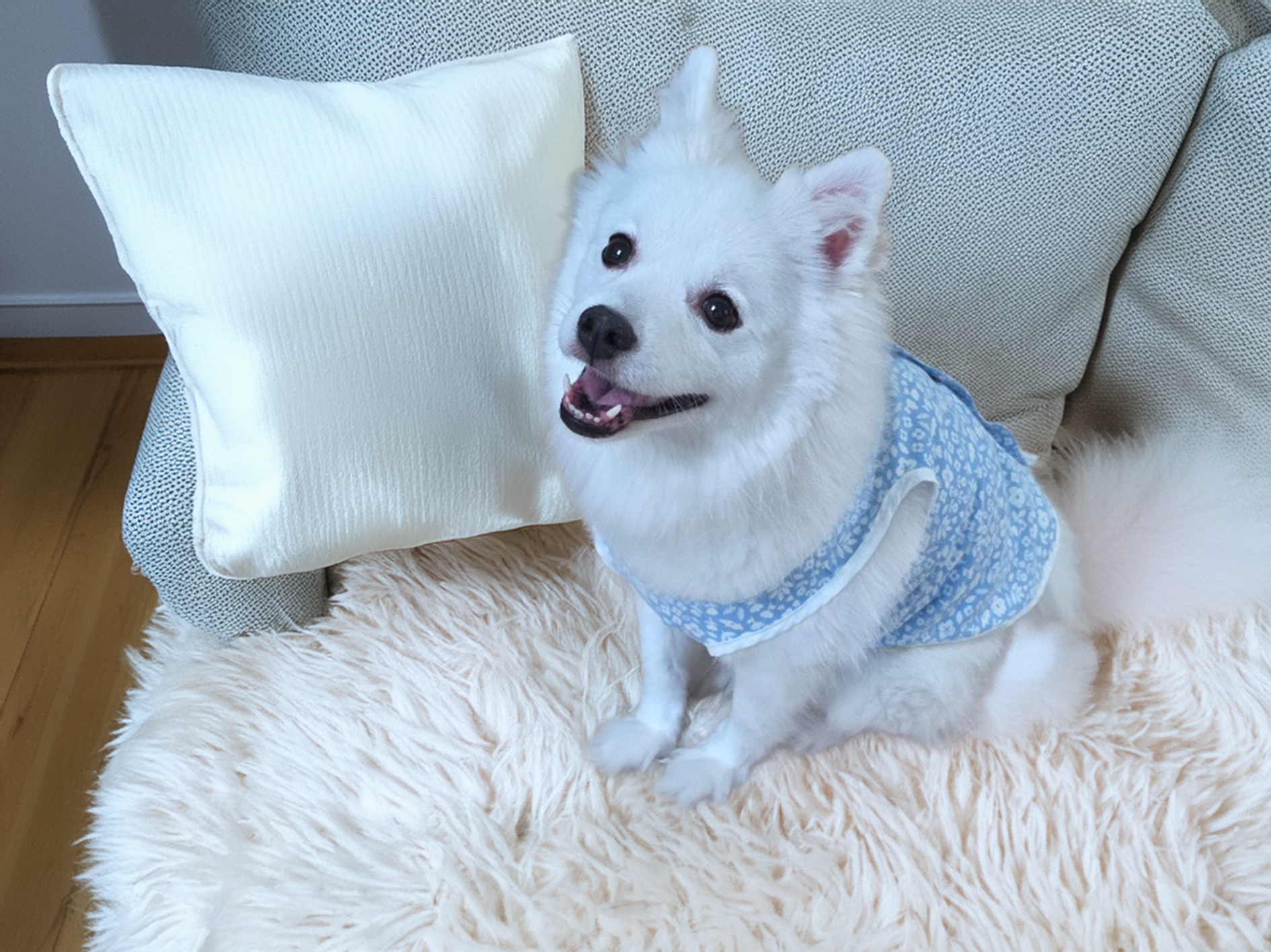여름 시원한 블루 플라워 강아지 반려견 옷 민소매 강아지 티셔츠 소형견 중형견 외출복 - 상품 이미지