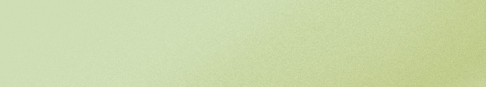 sungboon editor green tomato enzyme cleansing powder