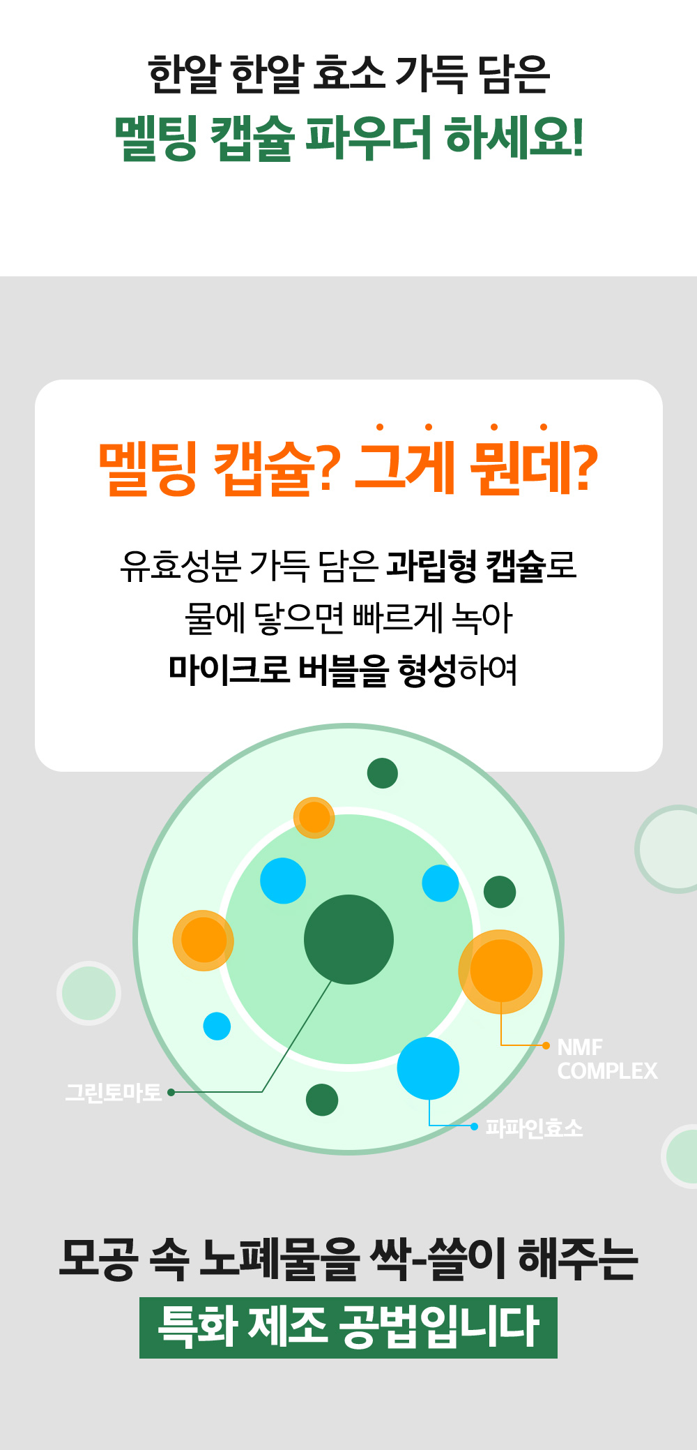sungboon editor green tomato enzyme cleansing powder