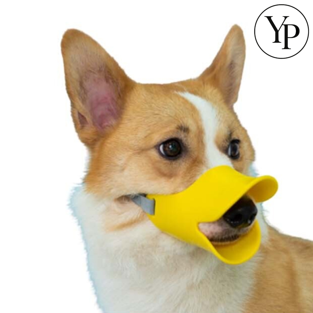 애완동물 오리 입마개 중형견 대형견 물림방지 실리콘 마스크