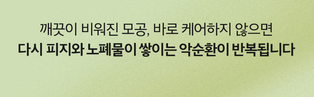 sungboon editor green tomato enzyme cleansing powder
