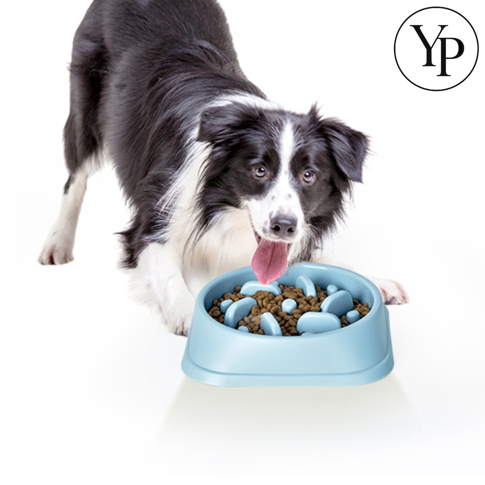강아지 급체 방지 밥그릇 애견 식기 밥통 펫식기