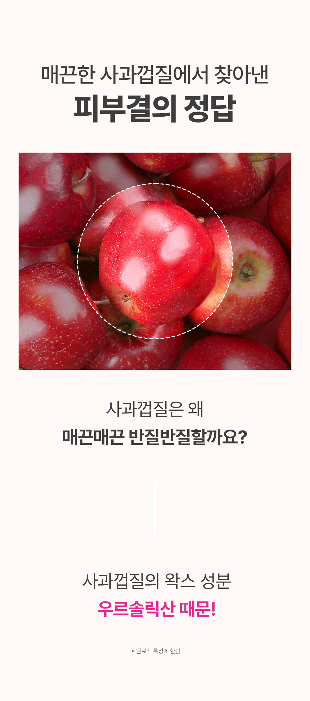 sungboon editor apple peel toner