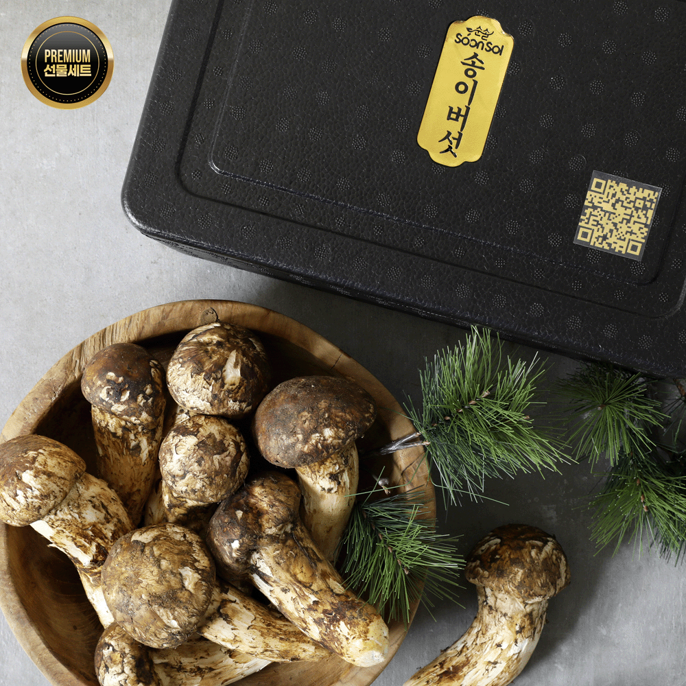 [선물세트]순솔 자연산 송이버섯 600g 프리미엄 선물 세트