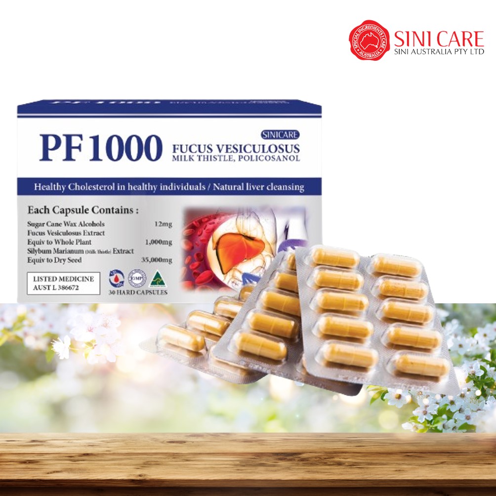 호주면세점 PF1000 시니케어 PF1000 폴리코사놀 X 30캡슐(1개월분) 밀크씨슬 후코이단 함유 policosanol - 상세 이미지 2