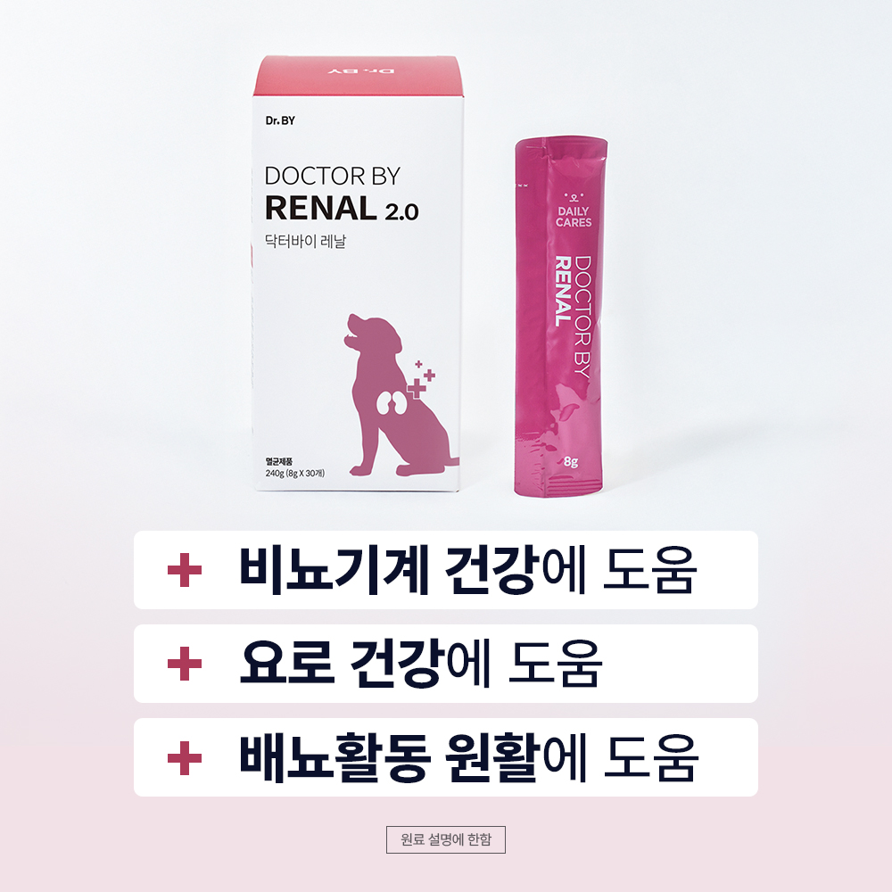 닥터바이 레날 강아지 신장 요로 크랜베리 영양제 30개입, 1개 - 상세 이미지 2
