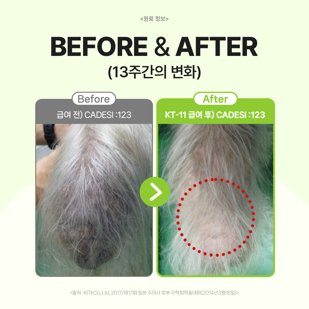 닥터바이 강아지 유산균 프로바이오틱스 장건강 영양제 피부, 60정, 1개 이미지 3