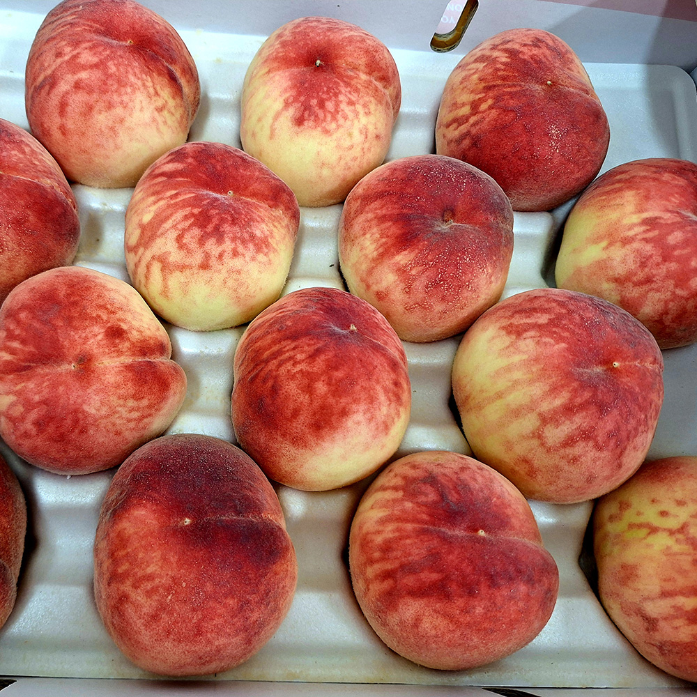 경산 노지 경봉 딱딱이 복숭아 4kg 망고 대극천 납작 반납작 차돌 딱딱이복숭아 천도 신비복숭아 백도