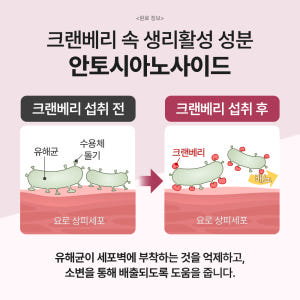 닥터바이 레날 강아지 신장 요로 크랜베리 영양제 30개입, 1개 솔직 후기 | 실제 사용자 리뷰 총정리 - 상품 이미지 2