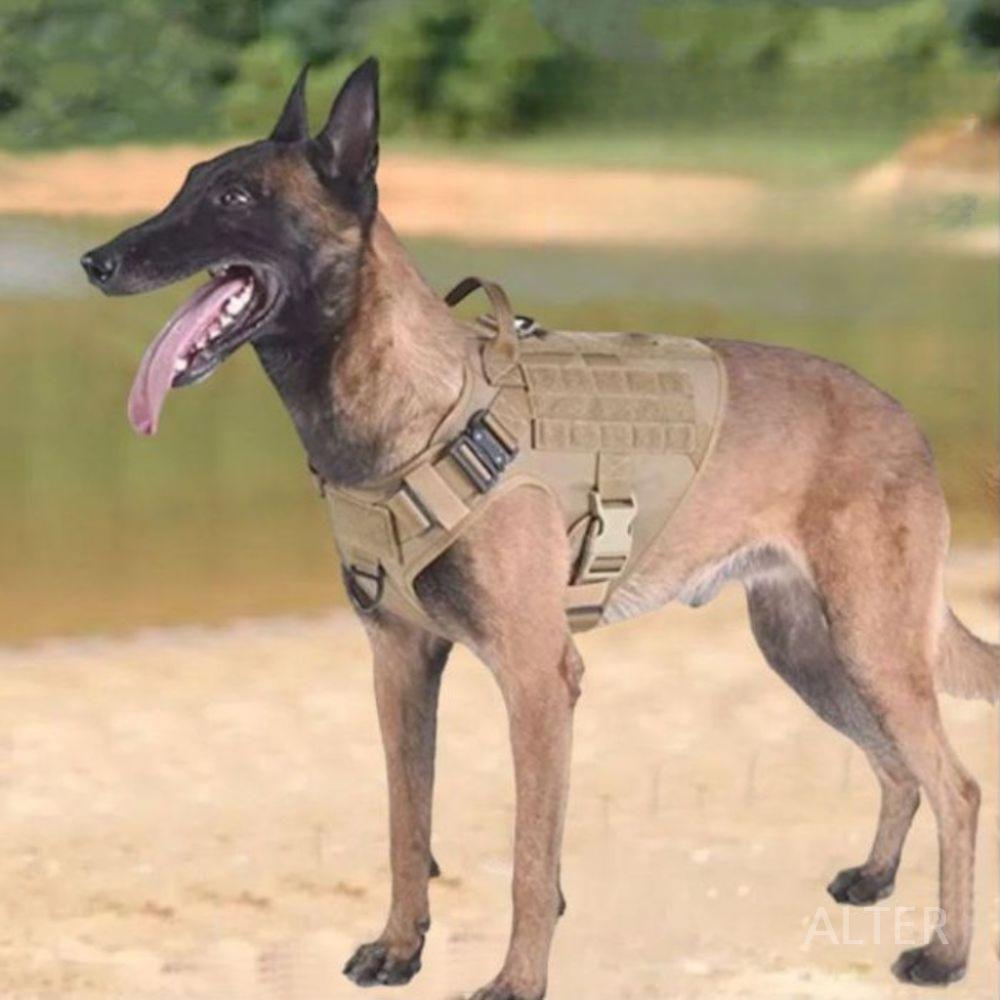 강아지 군복 소형견 대형견 훈련복 국방 군견 조끼 군청색 2종 세트 M 권장 10-30kg - 상세 이미지 2