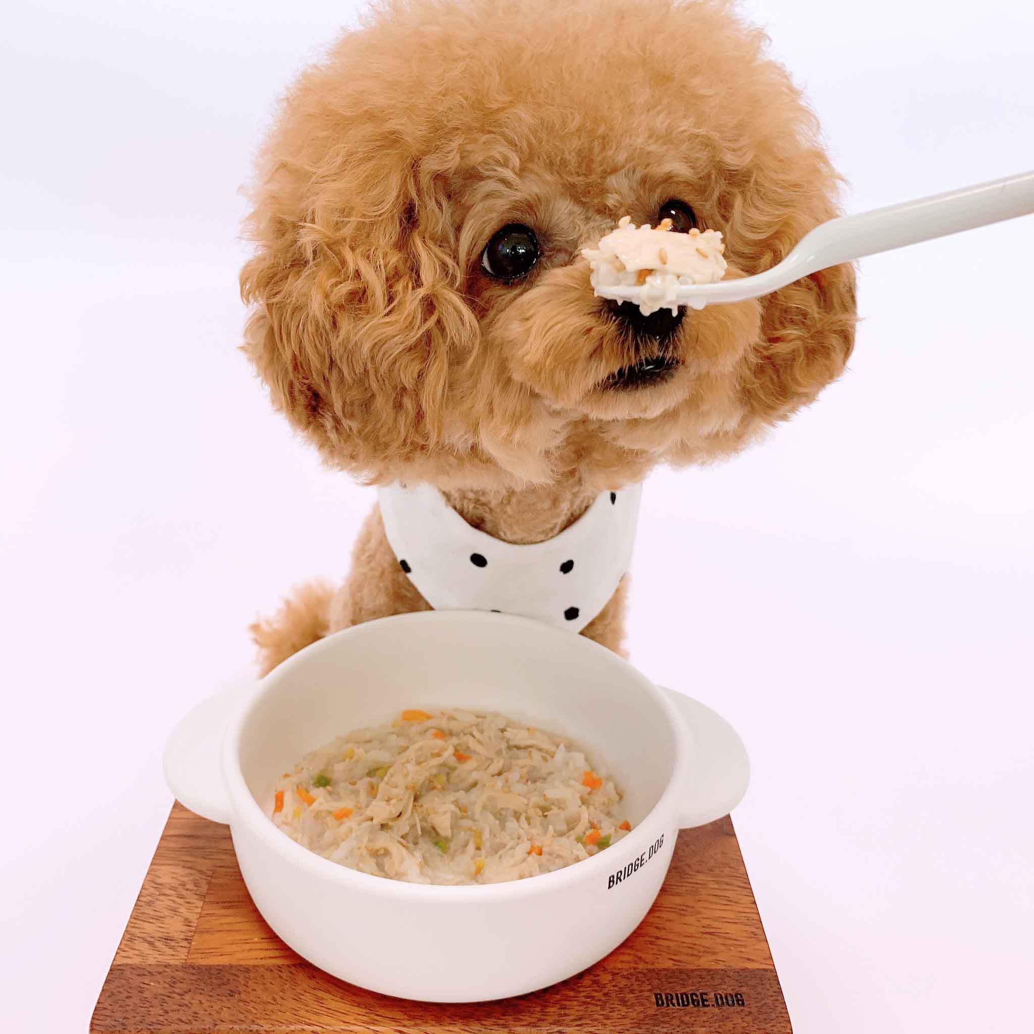 [완밥보장] 강아지 보양식 3종 세트 삼계죽 소불고기 닭갈비 반려견 자연식 화식 수제 간식