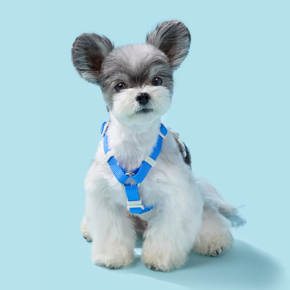 [강형욱X퍼피즈] 피크닉 가슴줄, 강아지 하네스 목줄 산책줄