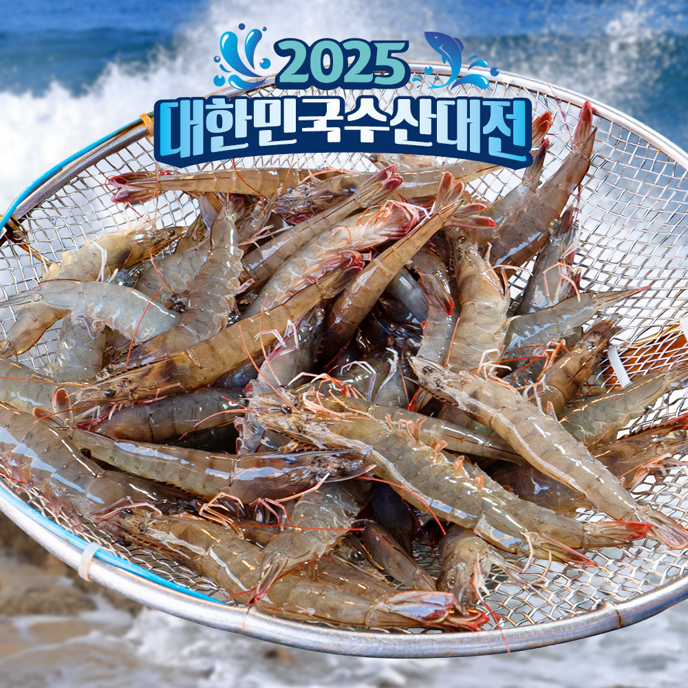 국내산 제철 흰다리새우 (활새우 급냉새우 생새우)