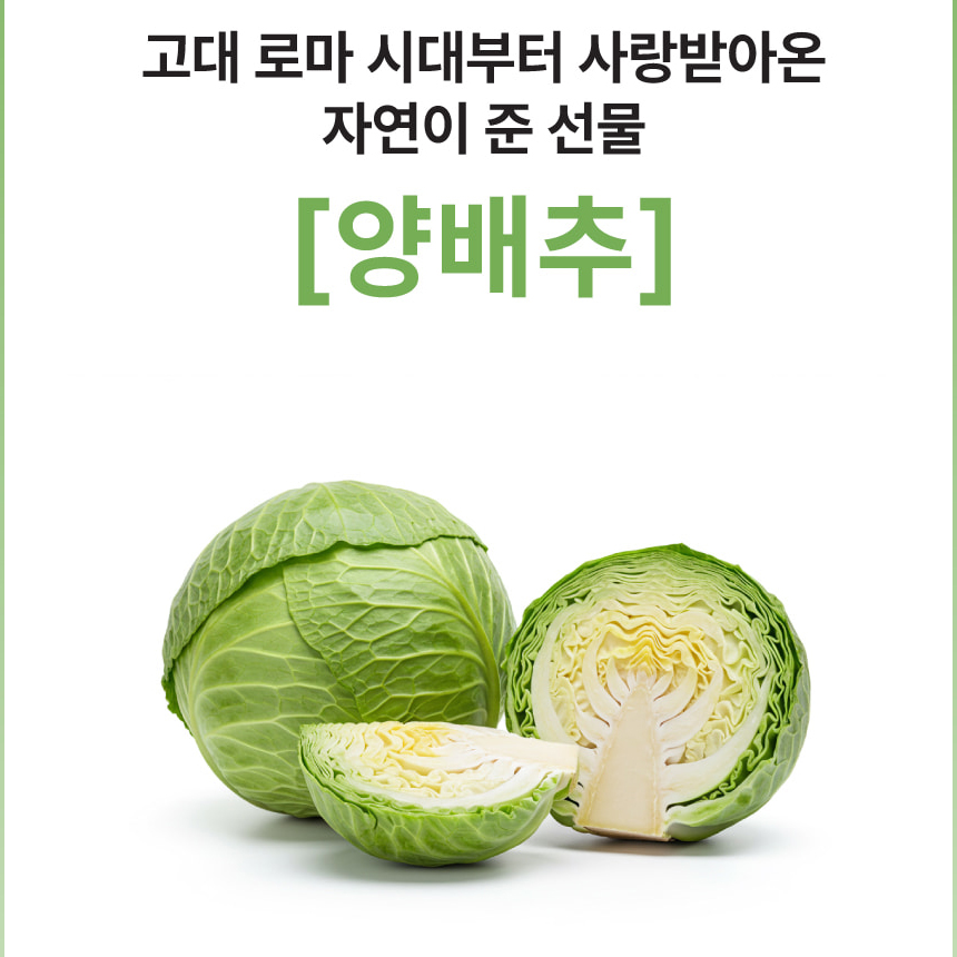 국산 양배추추출물 분말 양배추정 90정, 2개 - 상세 이미지 5