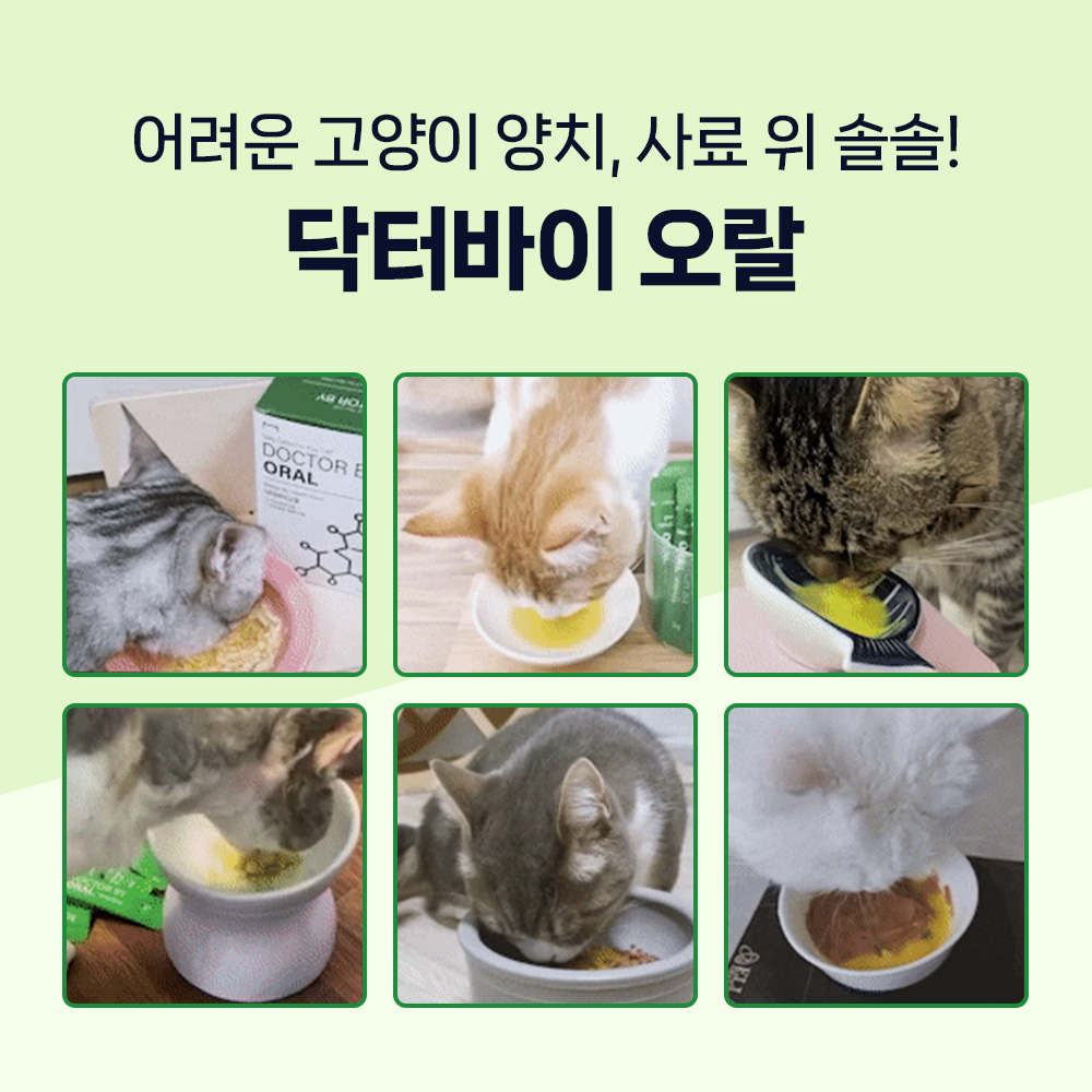 닥터바이 오랄 고양이 구내염 구강 이빨 치석 치태 입냄새 영양제 30포, 1개