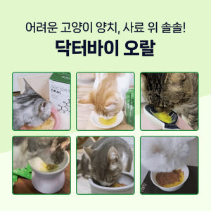 닥터바이 오랄 고양이 구내염 구강 이빨 치석 치태 입냄새 영양제 30포,... 솔직 후기 | 실제 사용자 리뷰 총정리 - 상품 이미지 2