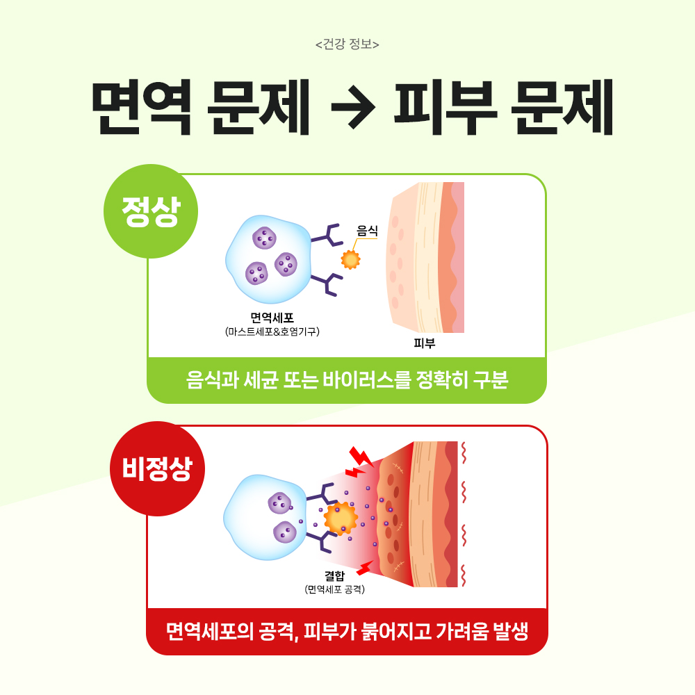 닥터바이 강아지 유산균 프로바이오틱스 장건강 영양제 피부, 60정, 1개 이미지 4
