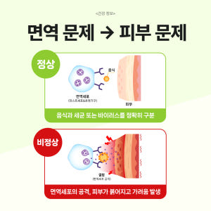 닥터바이 강아지 유산균 프로바이오틱스 장건강 영양제 피부, 60정, 1개 솔직 후기 | 실제 사용자 리뷰 총정리 - 상품 이미지 4