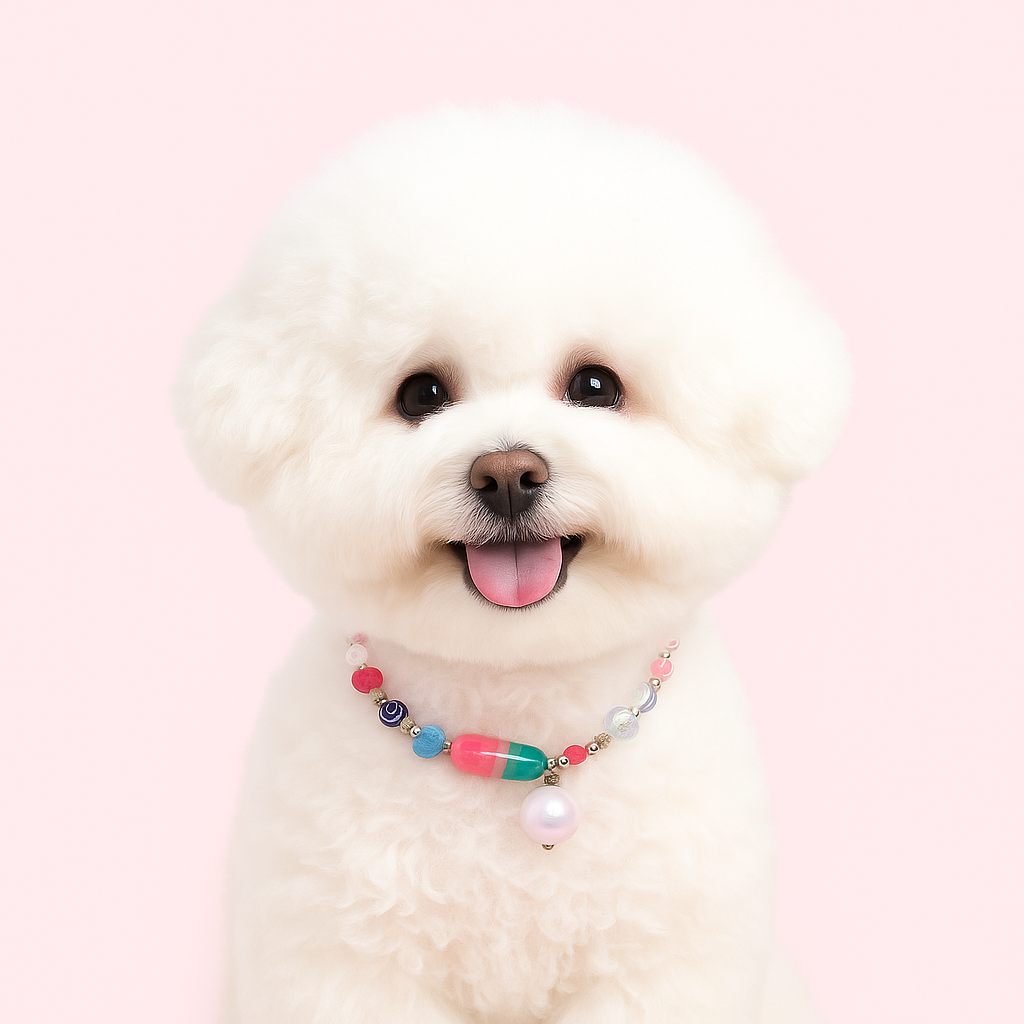 강아지 진주 각인 목걸이 비즈 인식표 고양이 반려동물 이름표 산책 선물 캡슐목걸이 비비드펫 이미지 7