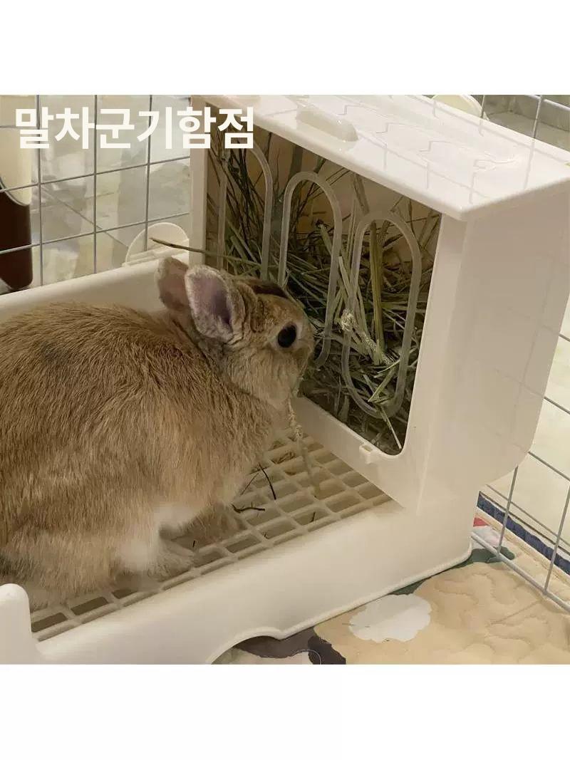 건초렉 애완토끼 먹이통 애완용 보관함 기니피그 철망형 1 케이스 업소용 A타입 덮힌 교체용 가림막 철조망 덮개가 있는 철망 - 상세 이미지 3