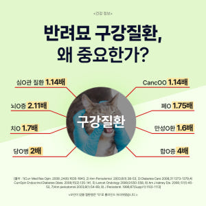 닥터바이 오랄 고양이 구내염 구강 이빨 치석 치태 입냄새 영양제 30포,... 솔직 후기 | 실제 사용자 리뷰 총정리 - 상품 이미지 4