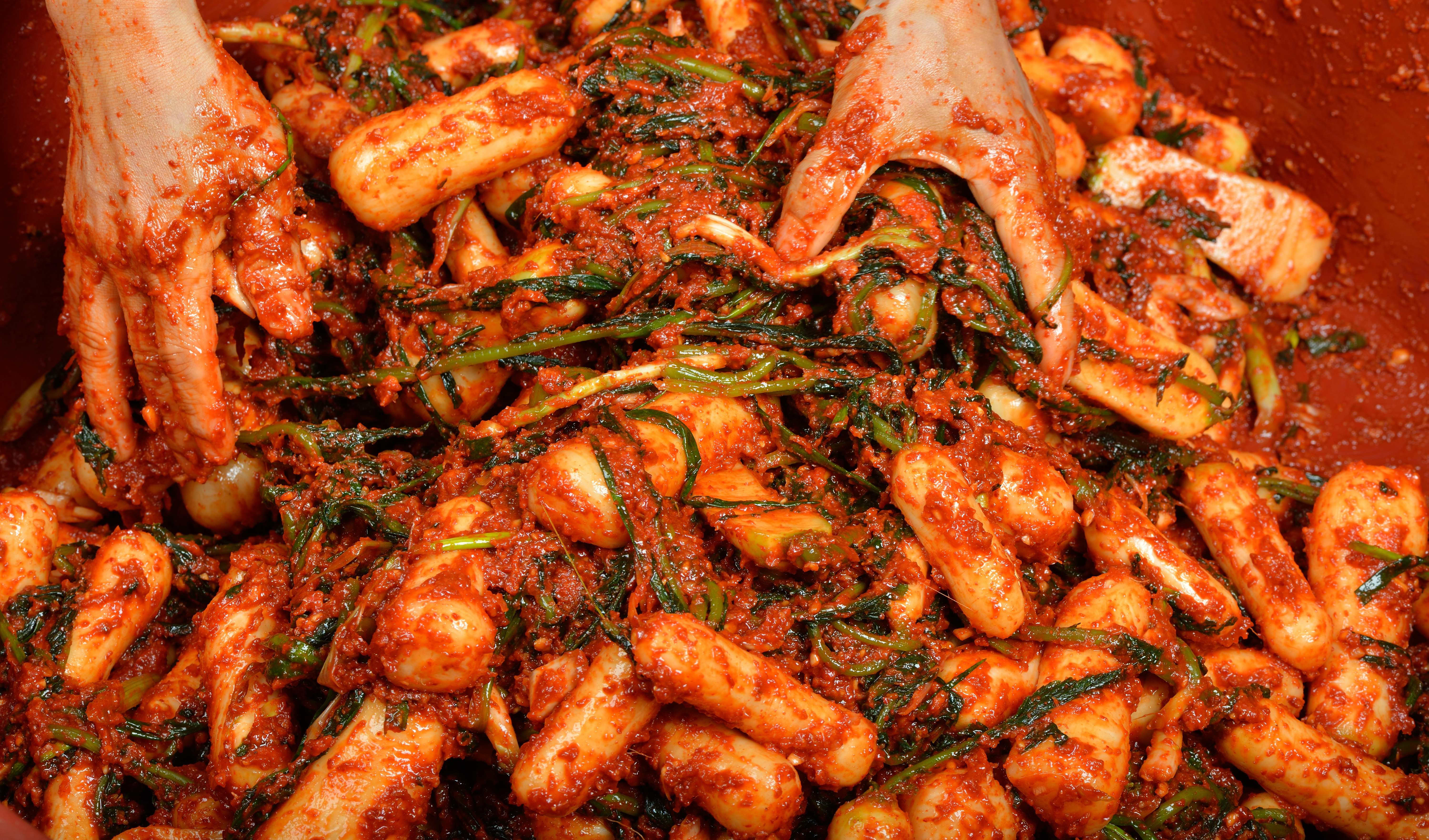 전라도 전통 알타리김치 총각김치 1kg - 상세 이미지 5