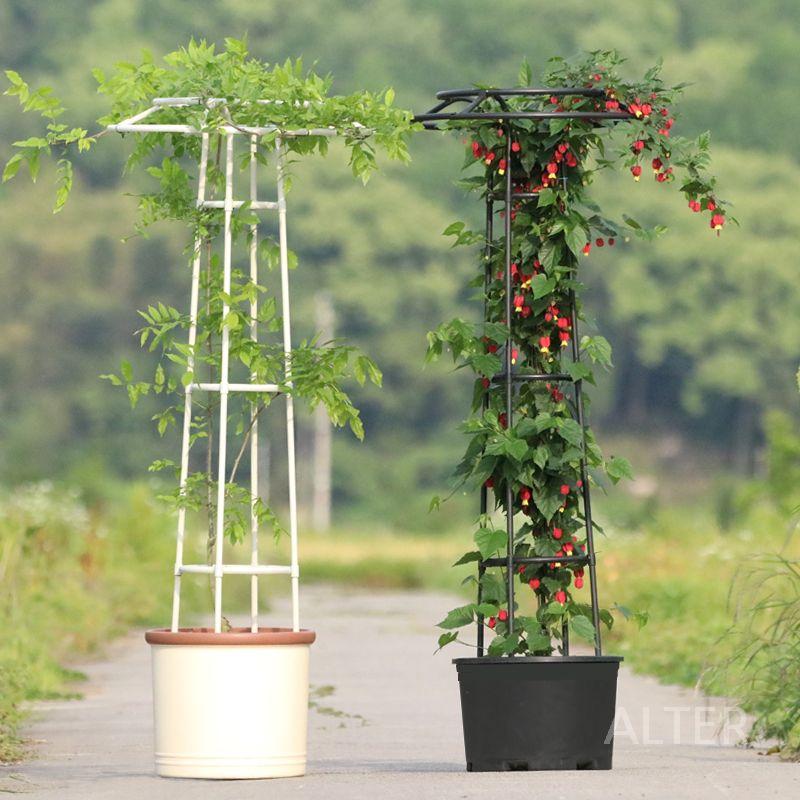 장미아치 지지대 철제 넝쿨 장미 야외용 덩굴 화이트 우산형 14mm 105cm - 상세 이미지 4