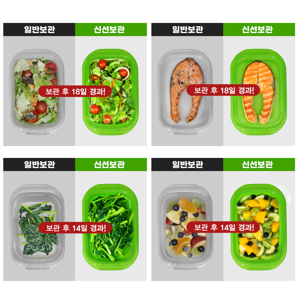 미라클 프레시존 1+1 냉장고 냉동실 정리 대파보관 이유식큐브보관 용기 과일통 파통 4L - 상세 이미지 2