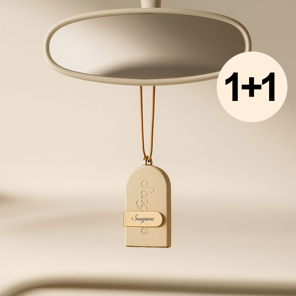 새차선물 룸미러 명품 차량용 방향제 스톤 샤쉐 카디퓨저 송풍구용 모링가