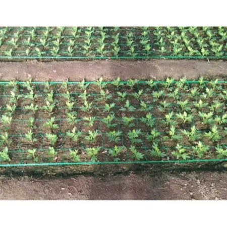 농업용 고추망 재배망 방조망 고추 오이망 텃밭 식물 100m1. 0.6x100m 폭 10cm