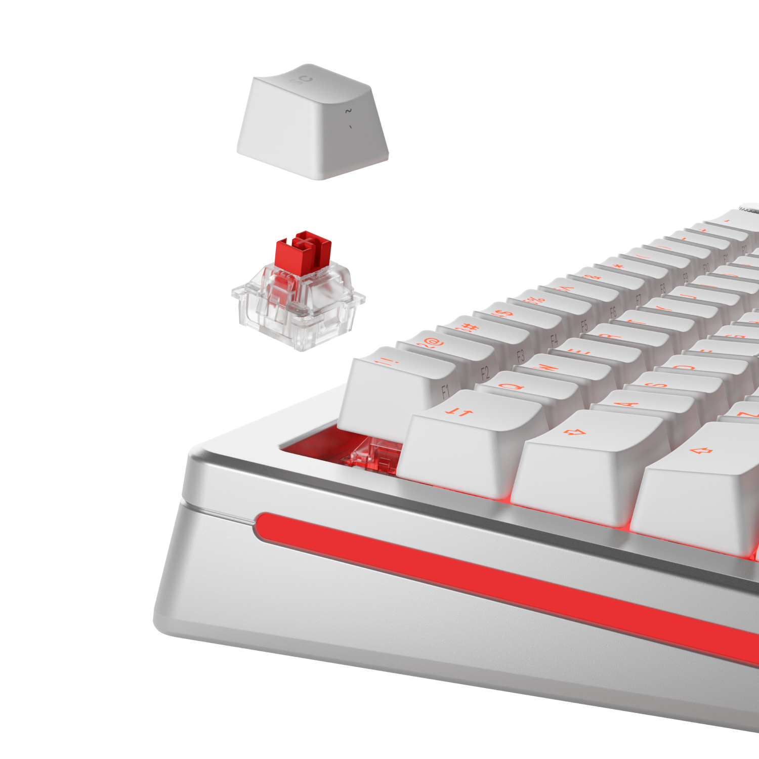 글로리어스 FOX HE 마그네틱(자석축) 스위치 - 상세 이미지 3