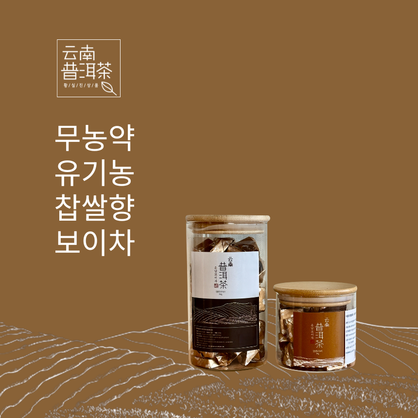 운남성 보이차 유기농 숙차 중국보이차 보이차고 찹쌀향 푸얼차 250g, 1개 - 메인 이미지