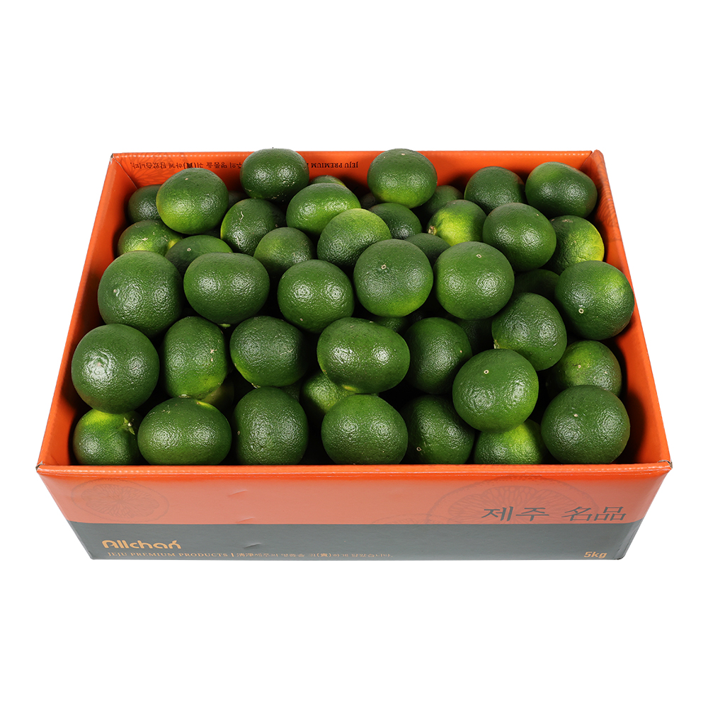제주도 청귤(풋귤) 3kg 5kg 10kg