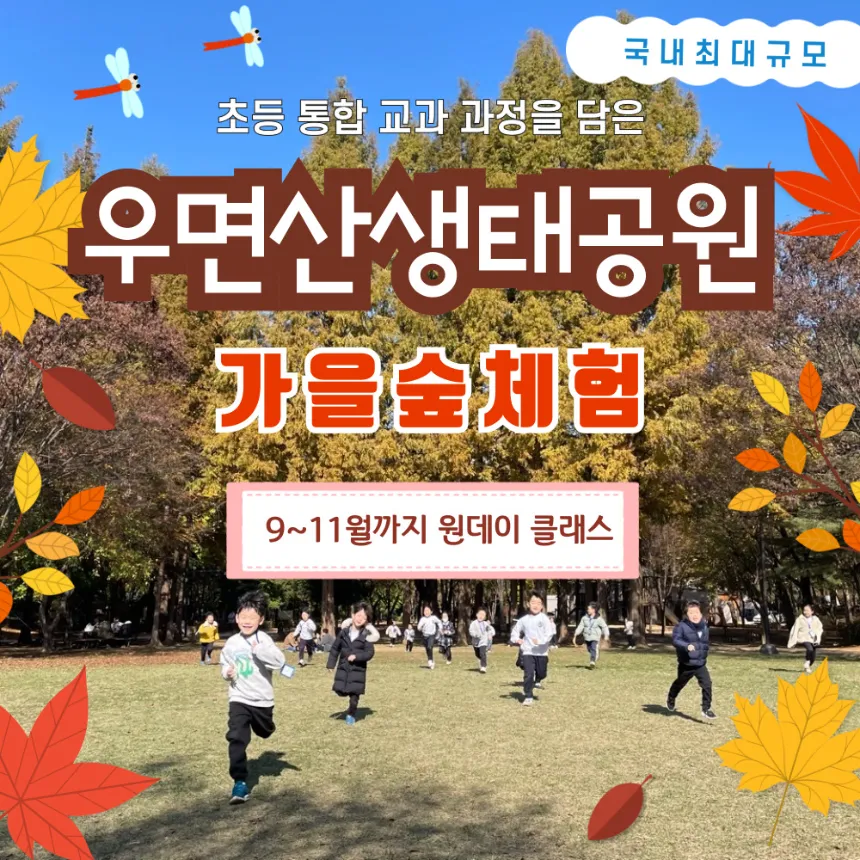 우면산생태공원 교과연계 가을 숲체험 | 1회 숲체험 by 반가워숲학교 - 메인 이미지
