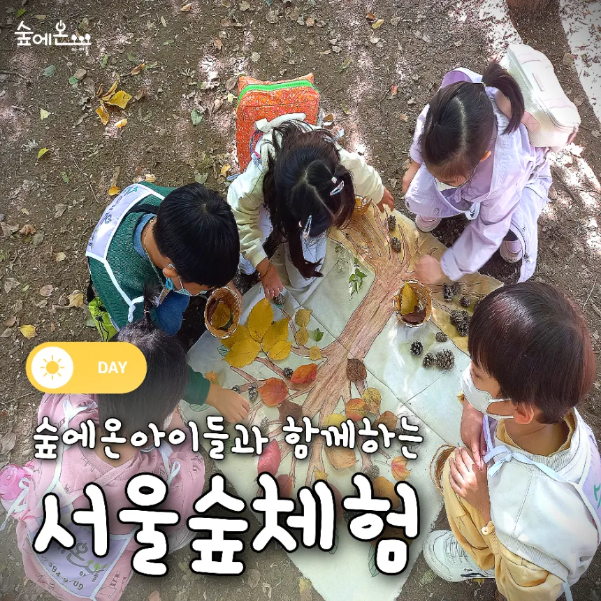 [숲에온아이들][서울숲] 어린이 가을 숲체험 유아 초등 자연 주말 체험 학습