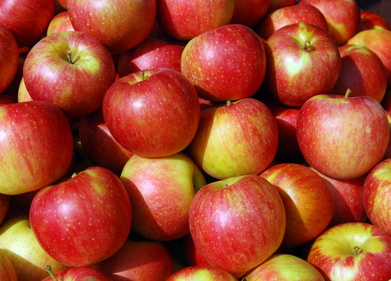 사과 청송 홍로 부사 썸머킹 아오리 사과 가정용 선물세트