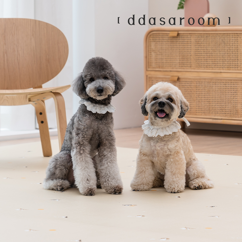 따사룸 강아지매트 미끄럼방지 롤매트 애견 반려견 슬개골 방수 거실 복도 셀프시공 러그 마블아이보리 6T 110x50cm